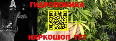 прущие грибы Рыбинск