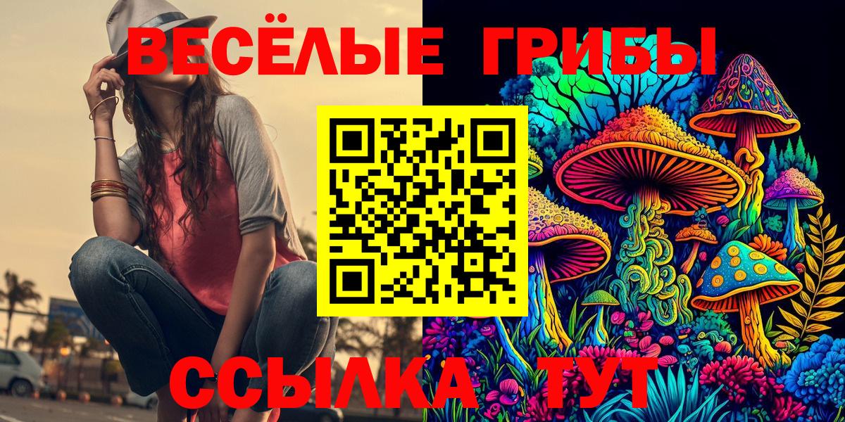 Галлюциногенные грибы мицелий Славгород