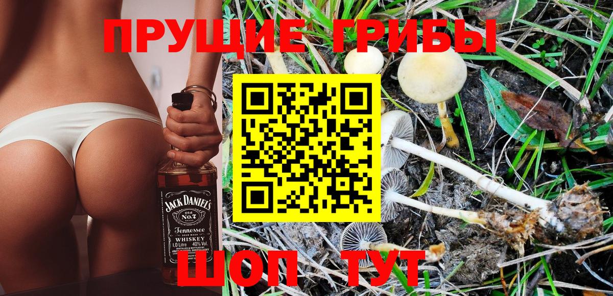 Славгород  Псилоцибиновые грибы GOLDEN TEACHER  Псилоцибиновые грибы Psilocybine cubensis  Вход с VPN 